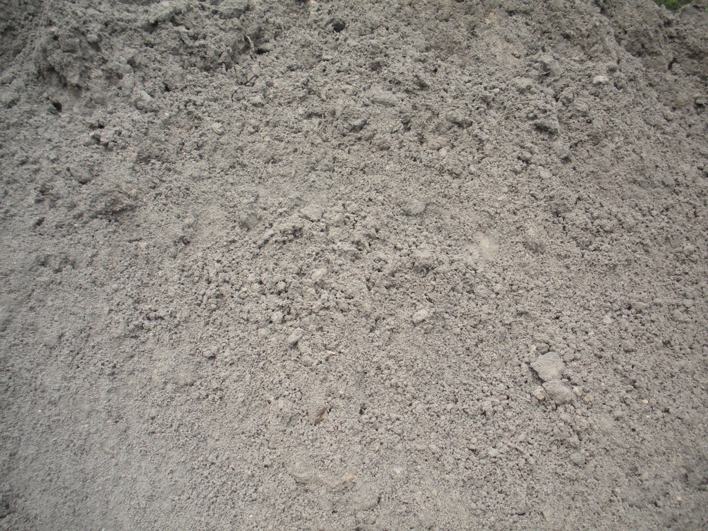 Black Dirt 