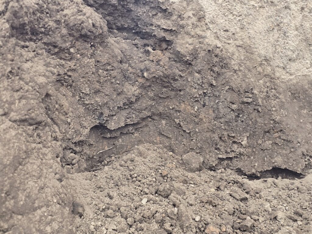 Unscreened Topsoil